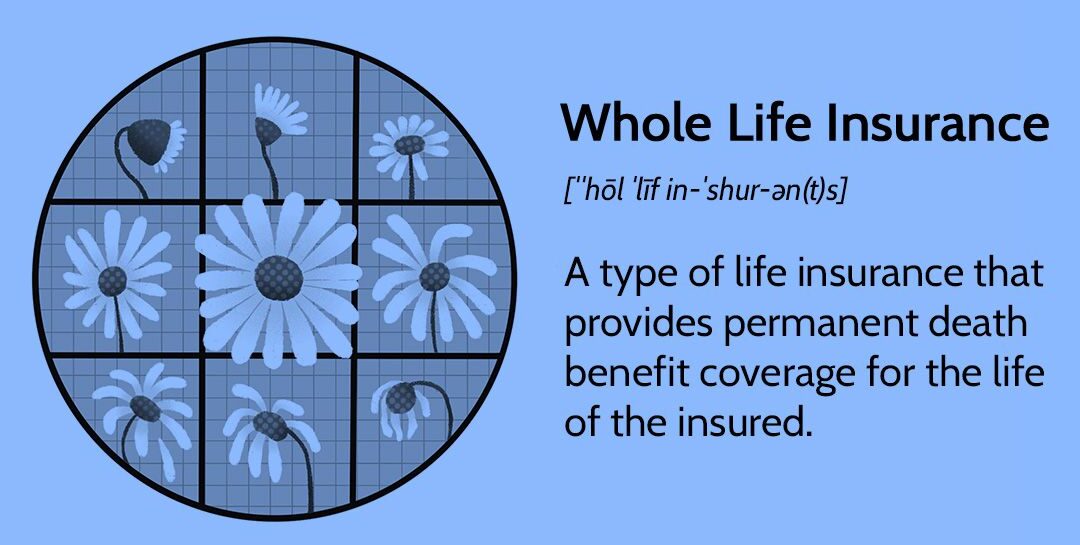 What Is Whole Life Insurance