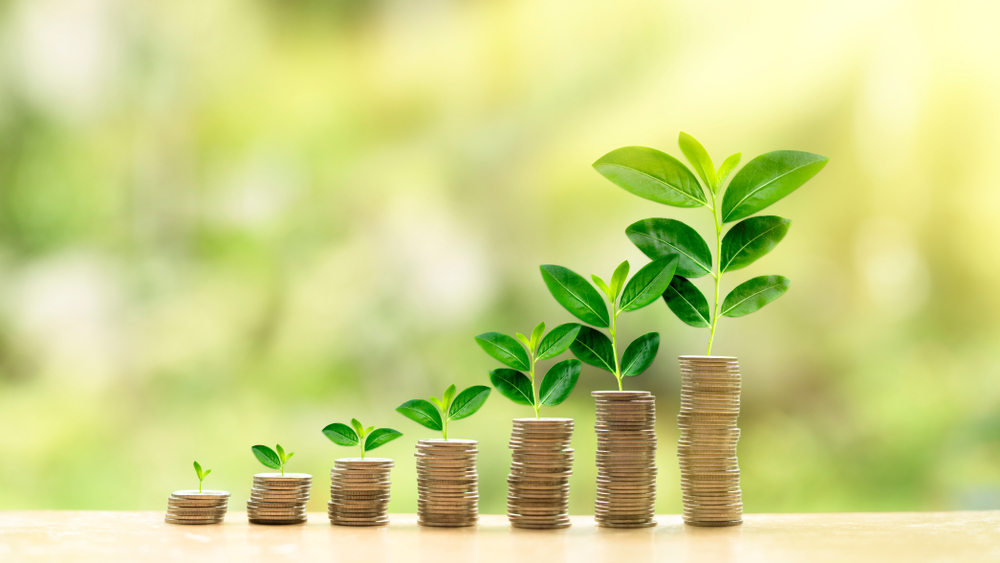 What Is An SMSF